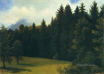 マウンテン リゾート アルバート ビアシュタットの森 Oil Paintings